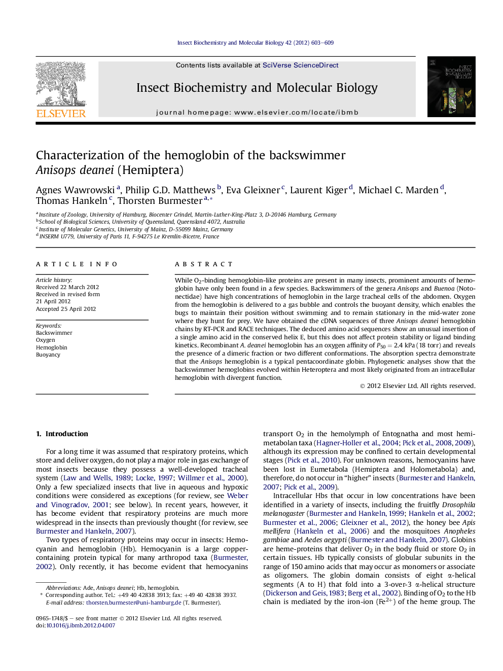 Characterization of the hemoglobin of the backswimmer Anisops deanei (Hemiptera)