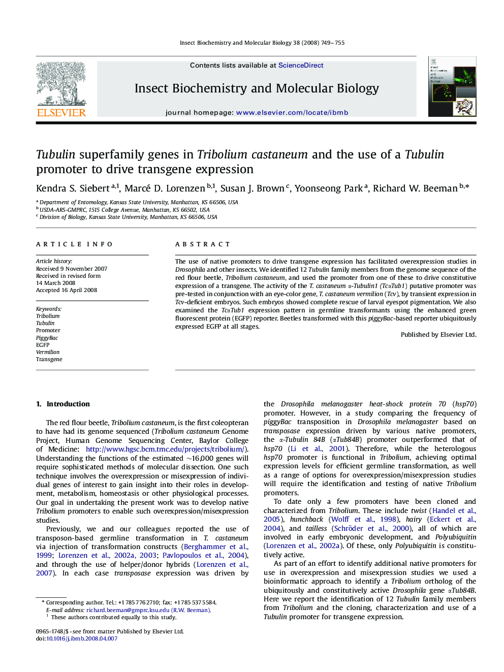 Tubulin superfamily genes in Tribolium castaneum and the use of a Tubulin promoter to drive transgene expression