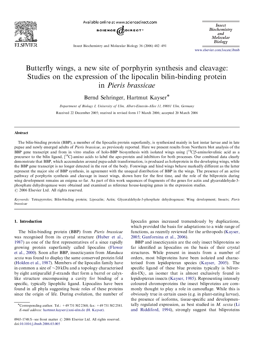 Butterfly wings, a new site of porphyrin synthesis and cleavage: Studies on the expression of the lipocalin bilin-binding protein in Pieris brassicae