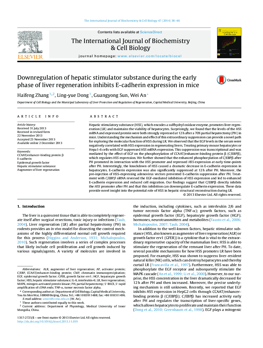 Downregulation of hepatic stimulator substance during the early phase of liver regeneration inhibits E-cadherin expression in mice