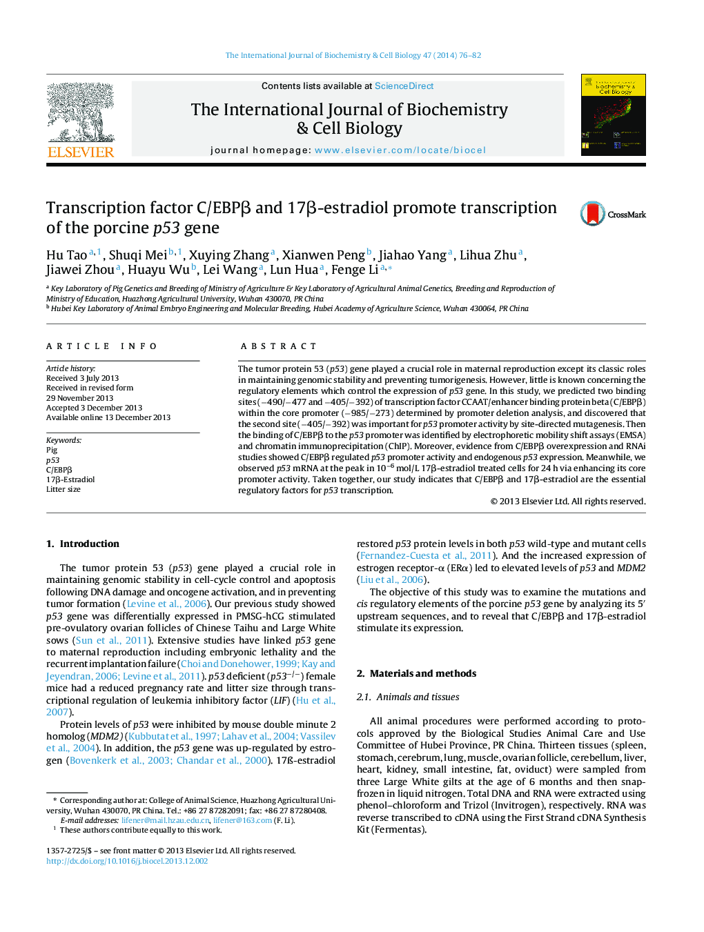 Transcription factor C/EBPÎ² and 17Î²-estradiol promote transcription of the porcine p53 gene