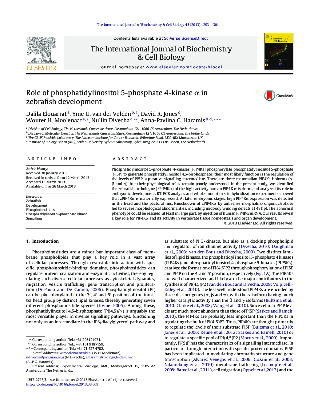 Role of phosphatidylinositol 5-phosphate 4-kinase α in zebrafish development