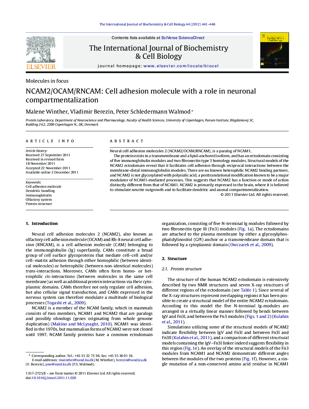 NCAM2/OCAM/RNCAM: Cell adhesion molecule with a role in neuronal compartmentalization