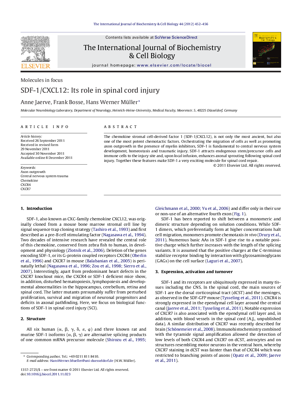 SDF-1/CXCL12: Its role in spinal cord injury