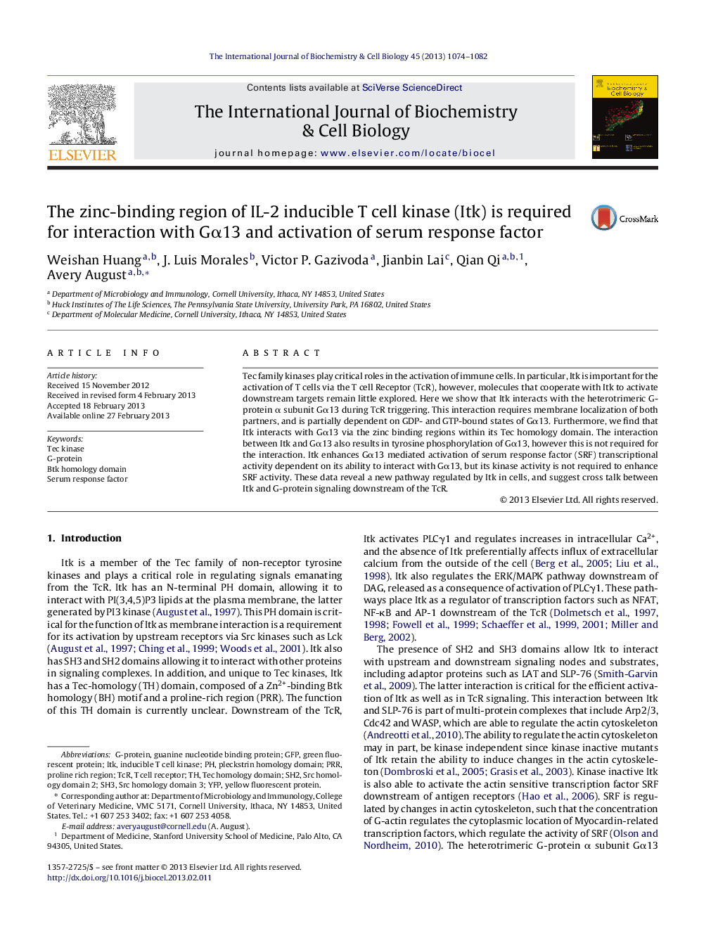 The zinc-binding region of IL-2 inducible T cell kinase (Itk) is required for interaction with Gα13 and activation of serum response factor