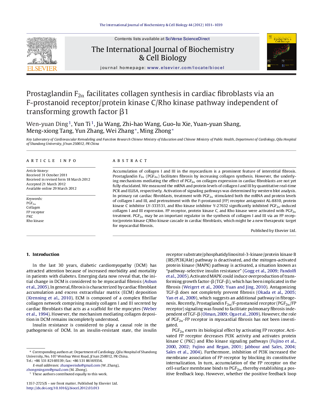 Prostaglandin F2α facilitates collagen synthesis in cardiac fibroblasts via an F-prostanoid receptor/protein kinase C/Rho kinase pathway independent of transforming growth factor β1