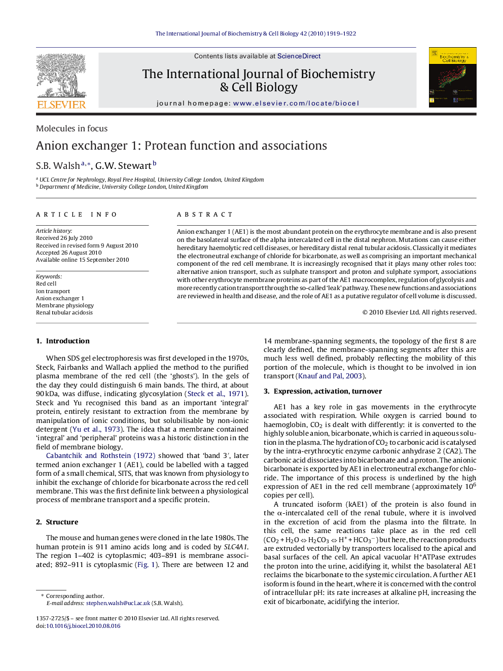 Anion exchanger 1: Protean function and associations