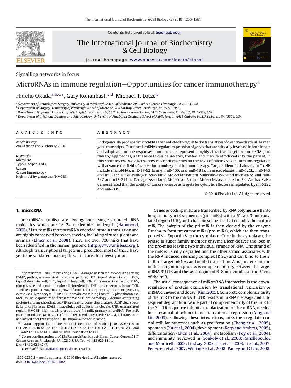 MicroRNAs in immune regulation—Opportunities for cancer immunotherapy 