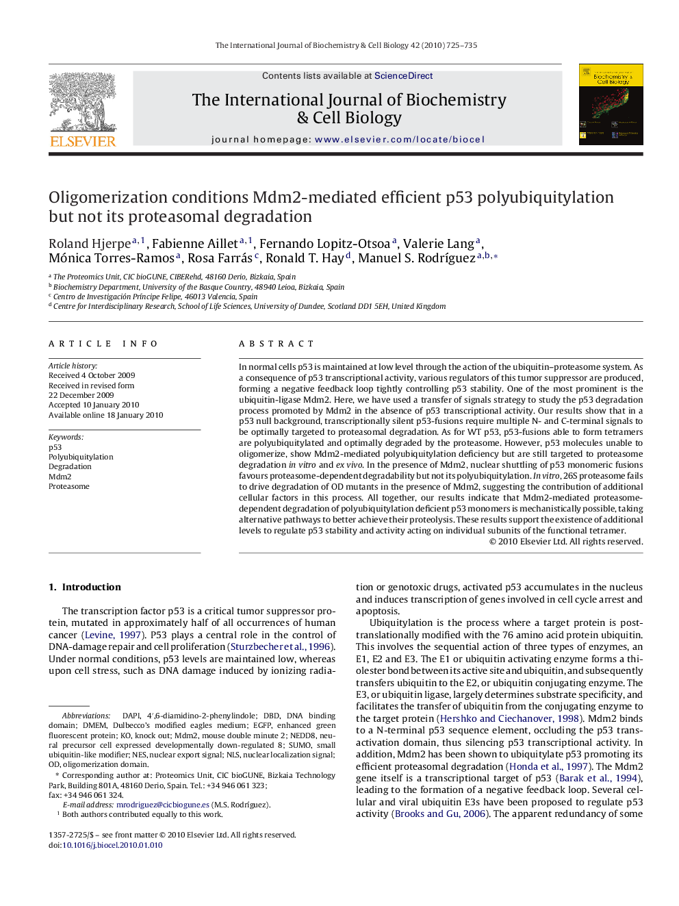 Oligomerization conditions Mdm2-mediated efficient p53 polyubiquitylation but not its proteasomal degradation