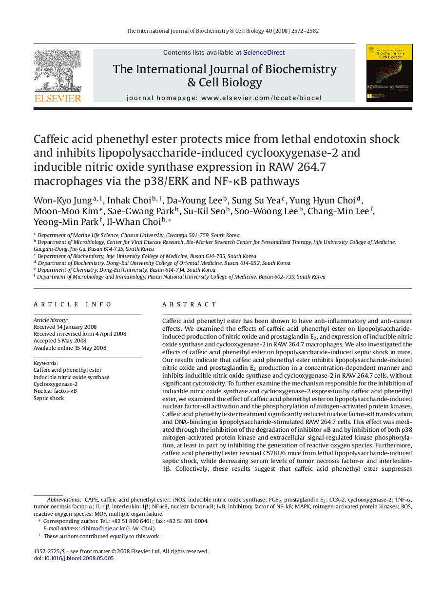 Caffeic acid phenethyl ester protects mice from lethal endotoxin shock and inhibits lipopolysaccharide-induced cyclooxygenase-2 and inducible nitric oxide synthase expression in RAW 264.7 macrophages via the p38/ERK and NF-κB pathways