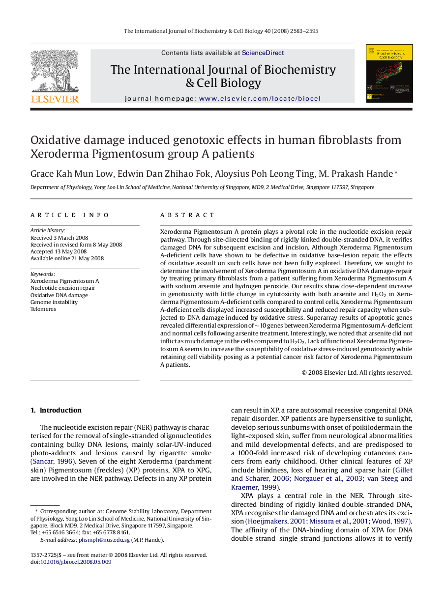 Oxidative damage induced genotoxic effects in human fibroblasts from Xeroderma Pigmentosum group A patients