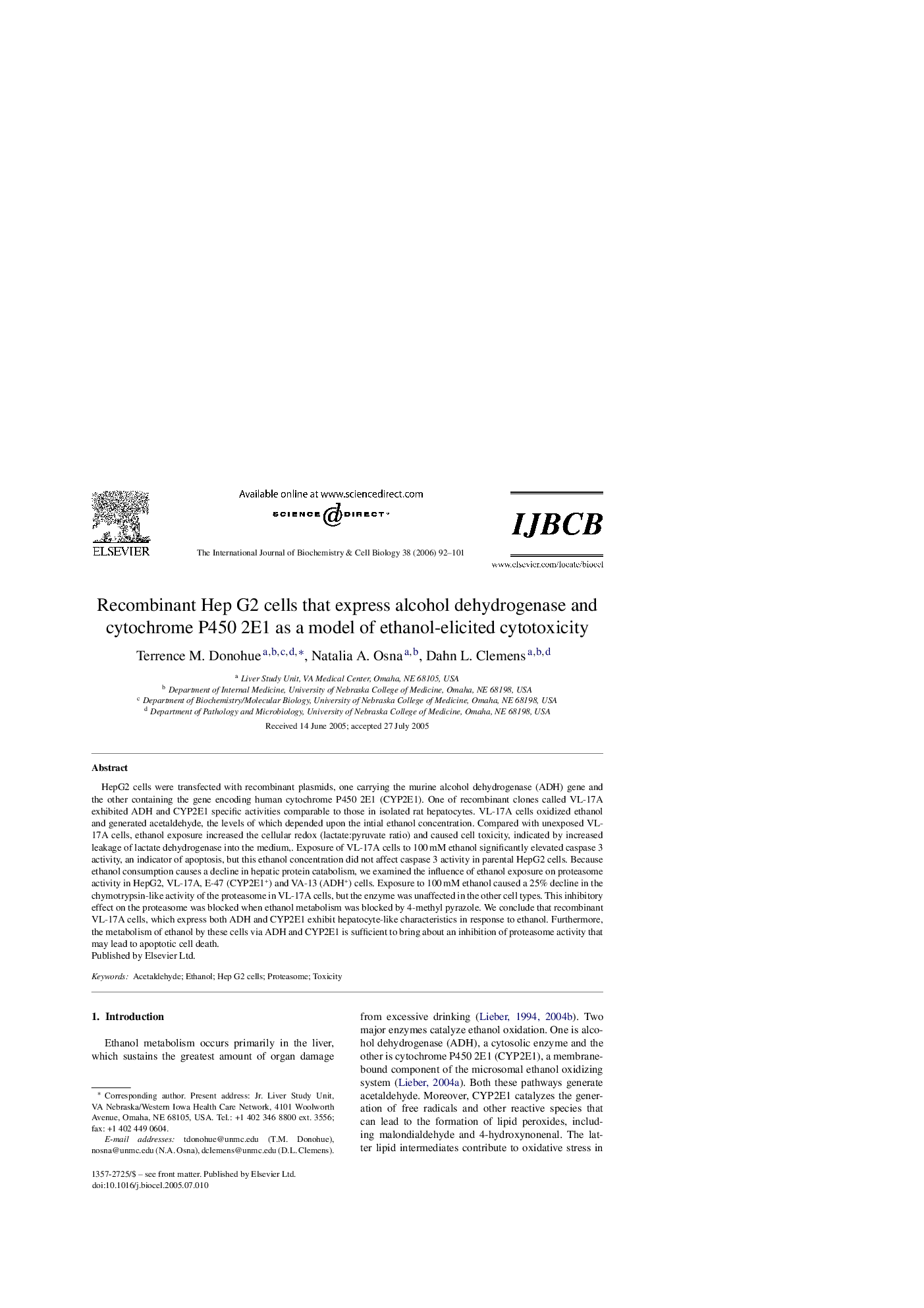 Recombinant Hep G2 cells that express alcohol dehydrogenase and cytochrome P450 2E1 as a model of ethanol-elicited cytotoxicity