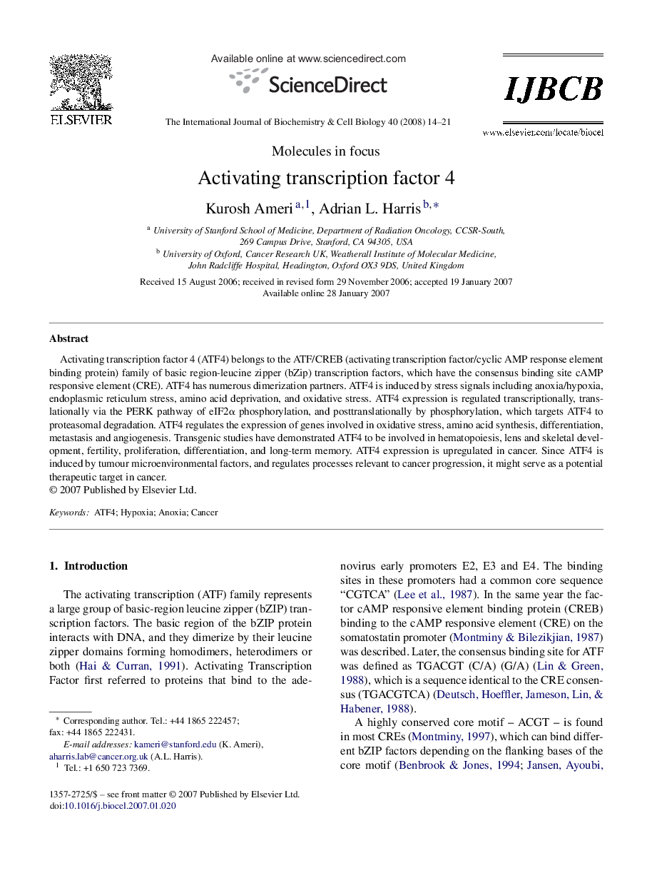 Activating transcription factor 4