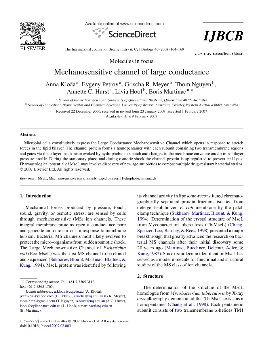 Mechanosensitive channel of large conductance