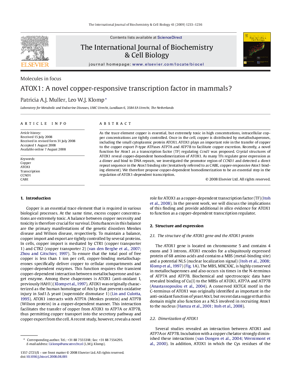 ATOX1: A novel copper-responsive transcription factor in mammals?