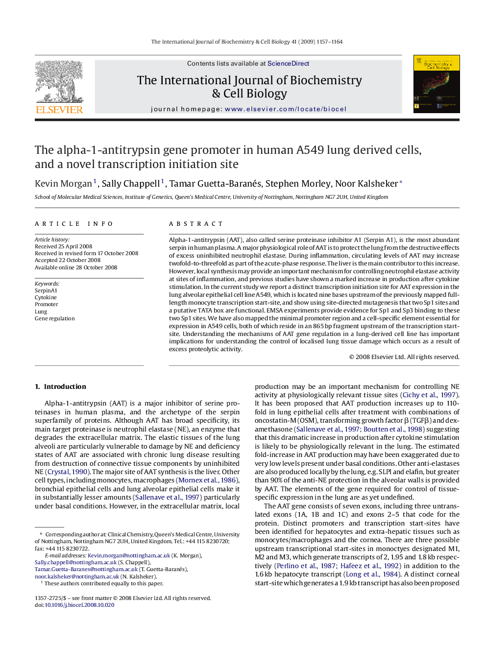 The alpha-1-antitrypsin gene promoter in human A549 lung derived cells, and a novel transcription initiation site