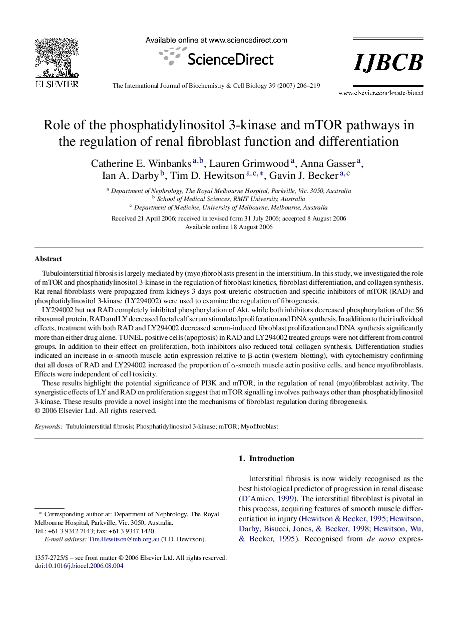 Role of the phosphatidylinositol 3-kinase and mTOR pathways in the regulation of renal fibroblast function and differentiation