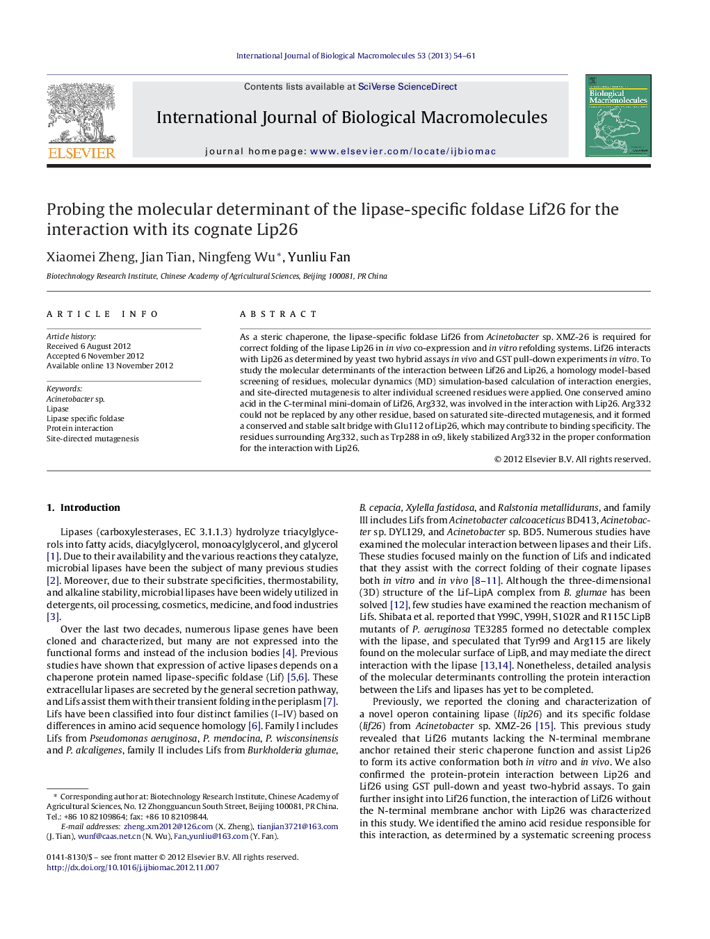 Probing the molecular determinant of the lipase-specific foldase Lif26 for the interaction with its cognate Lip26