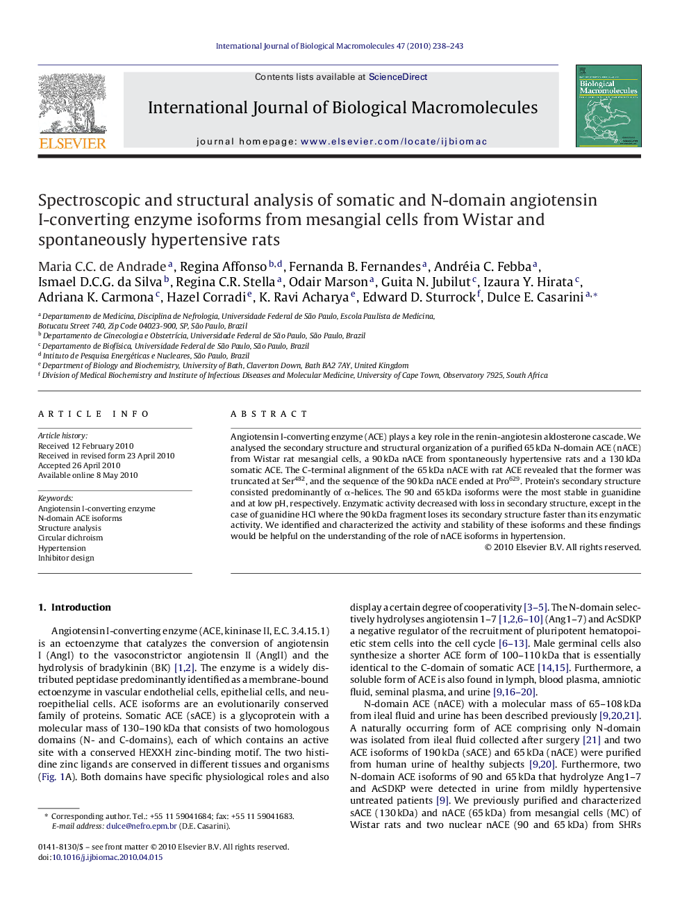 Spectroscopic and structural analysis of somatic and N-domain angiotensin I-converting enzyme isoforms from mesangial cells from Wistar and spontaneously hypertensive rats