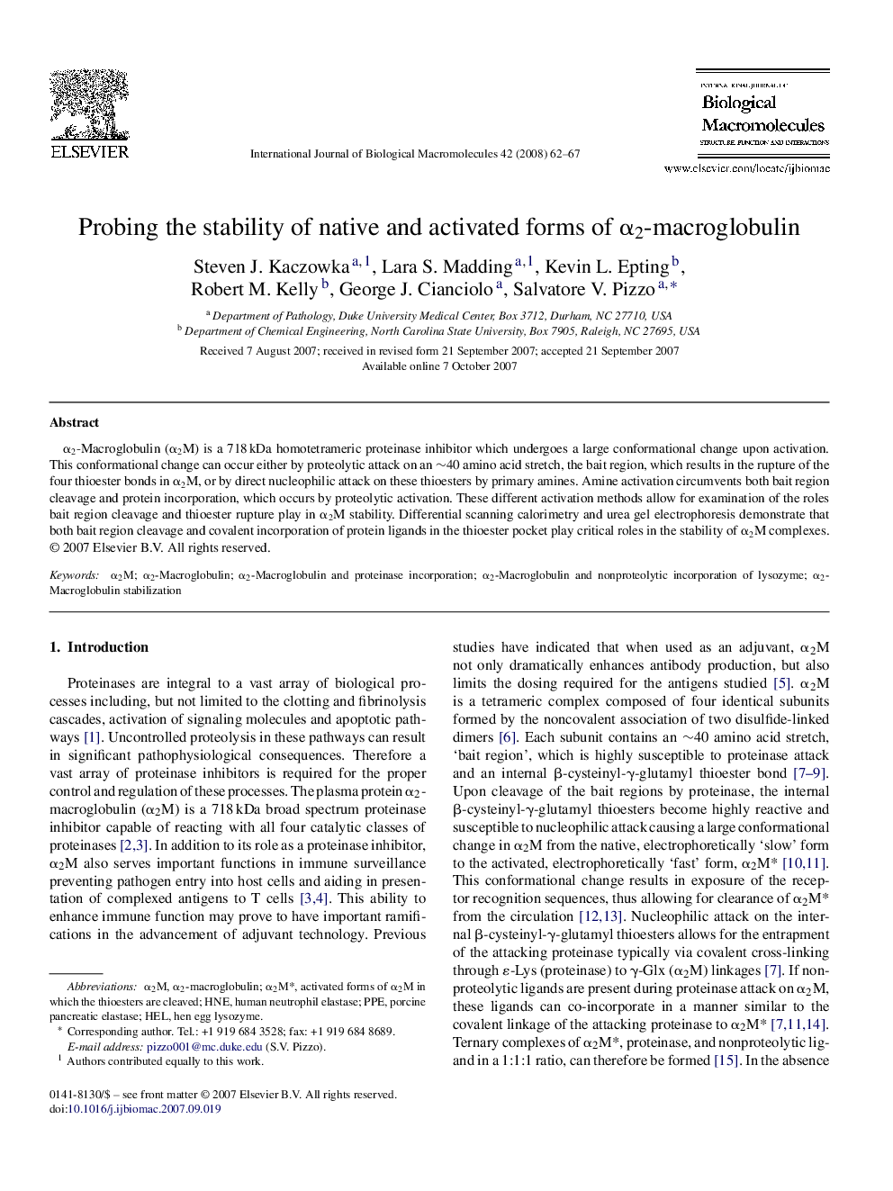 Probing the stability of native and activated forms of α2-macroglobulin