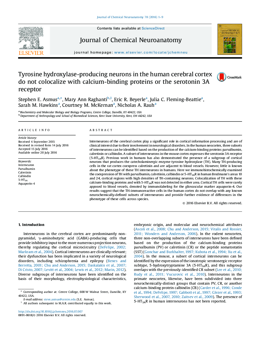 Tyrosine hydroxylase-producing neurons in the human cerebral cortex do not colocalize with calcium-binding proteins or the serotonin 3A receptor