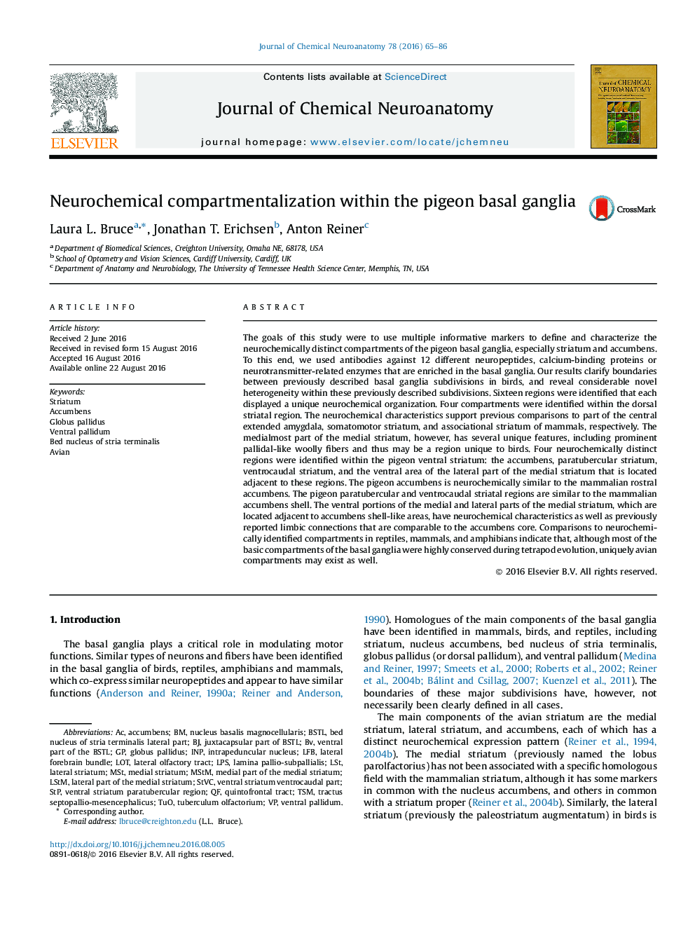 Neurochemical compartmentalization within the pigeon basal ganglia