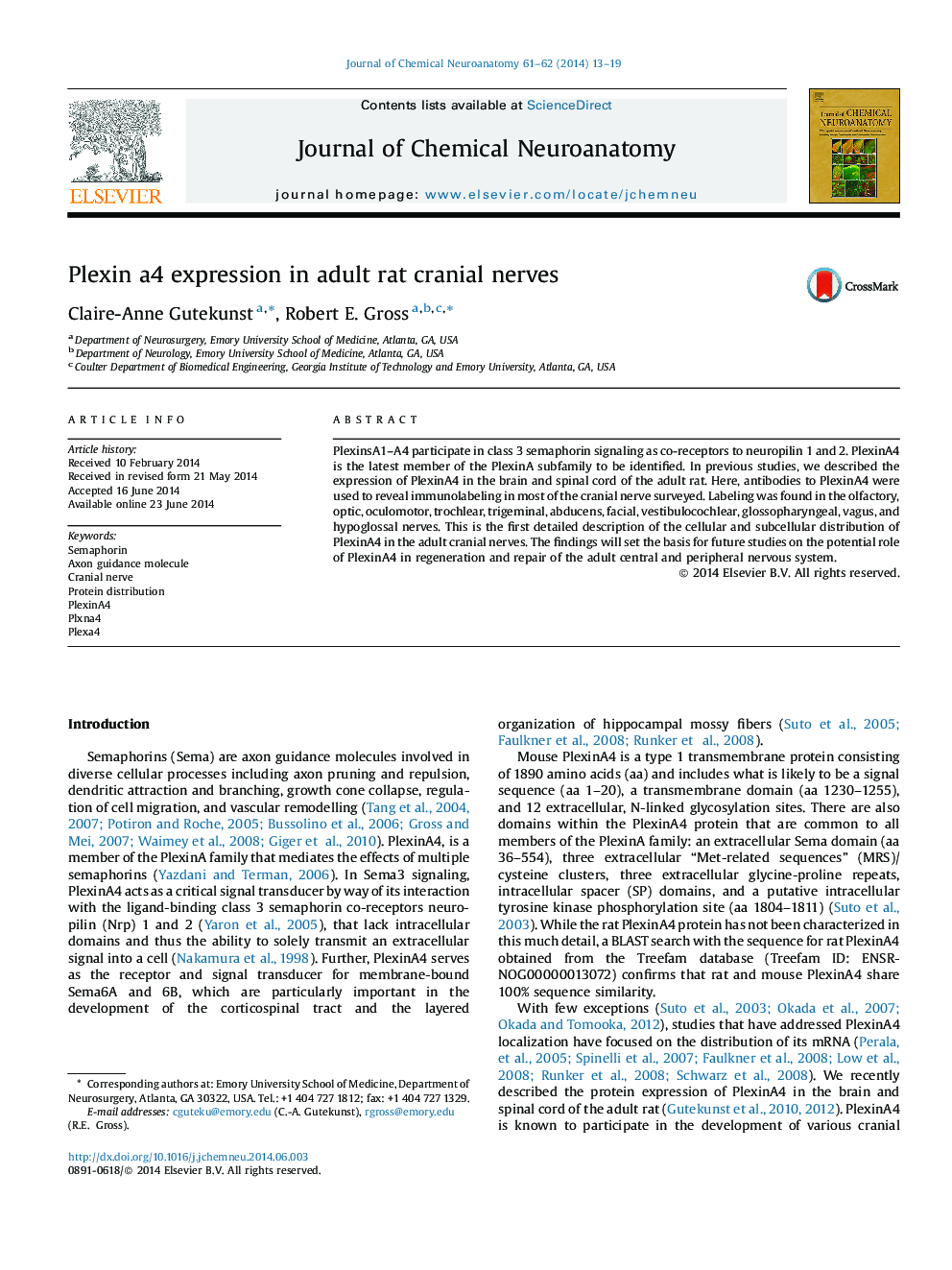 Plexin a4 expression in adult rat cranial nerves