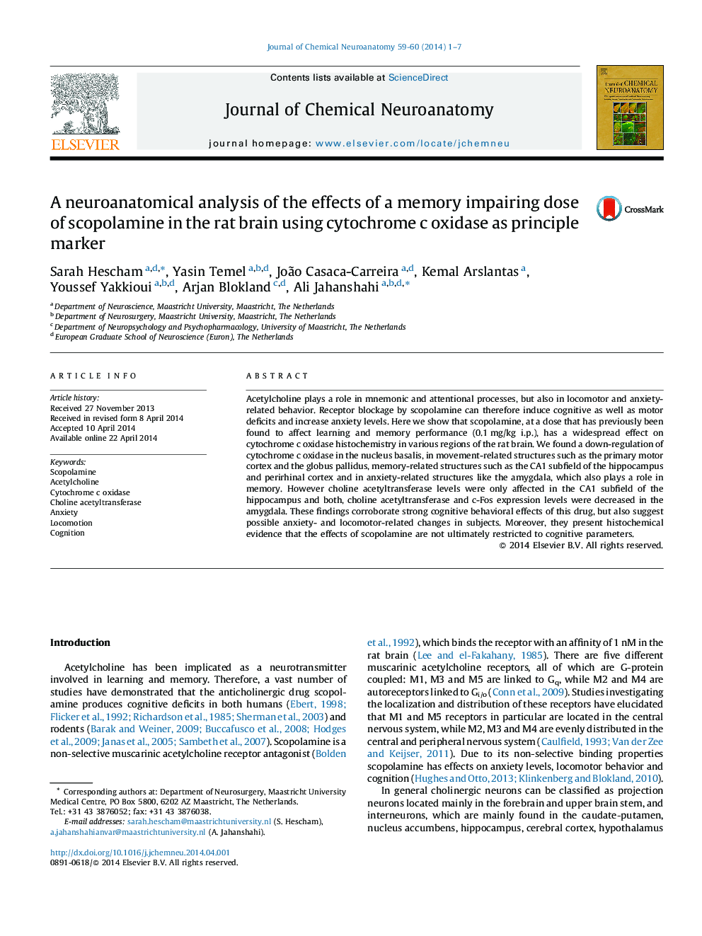A neuroanatomical analysis of the effects of a memory impairing dose of scopolamine in the rat brain using cytochrome c oxidase as principle marker