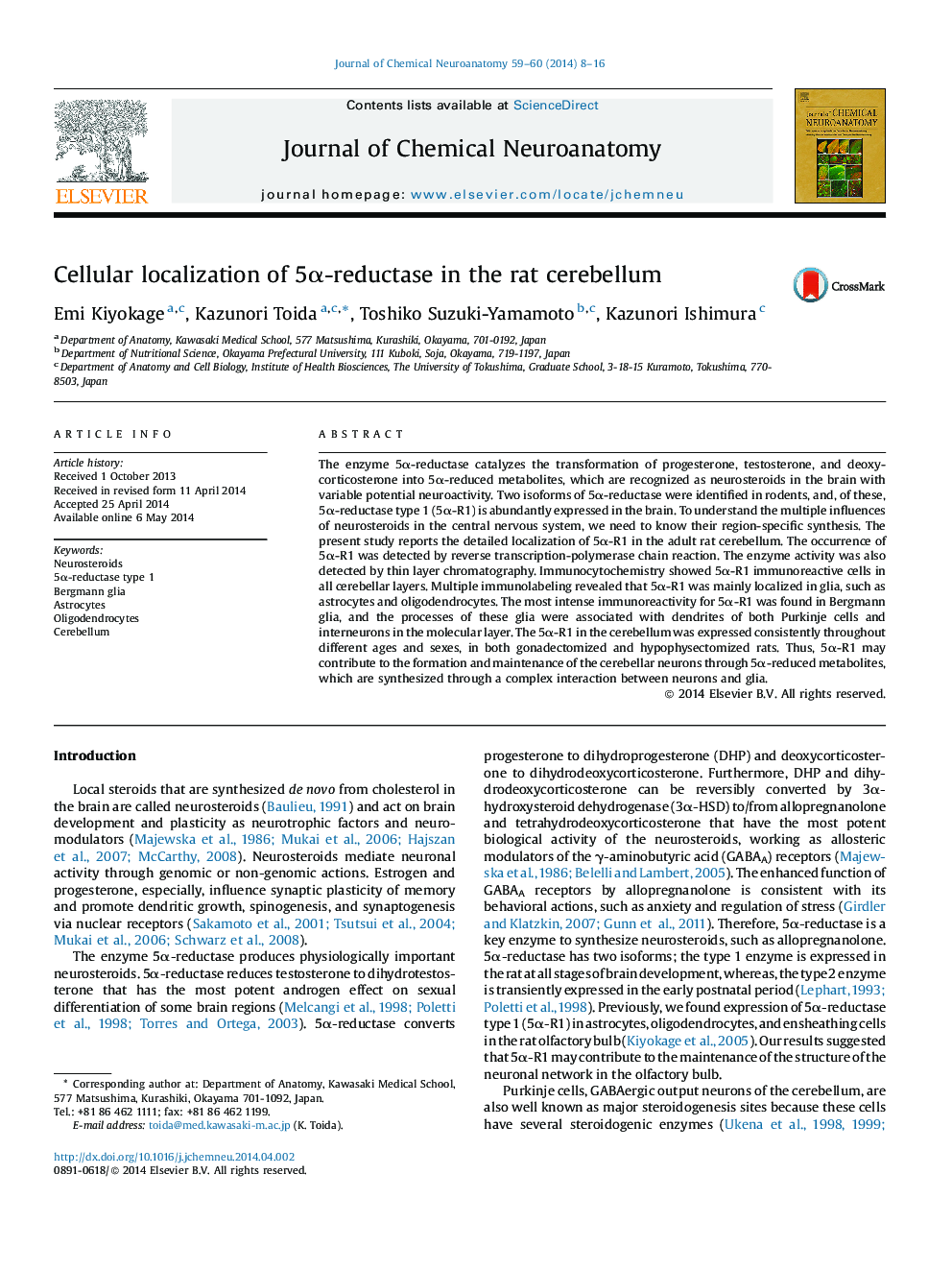 Cellular localization of 5Î±-reductase in the rat cerebellum