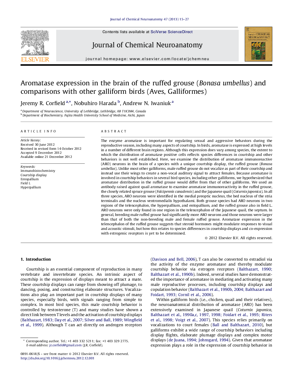 Aromatase expression in the brain of the ruffed grouse (Bonasa umbellus) and comparisons with other galliform birds (Aves, Galliformes)