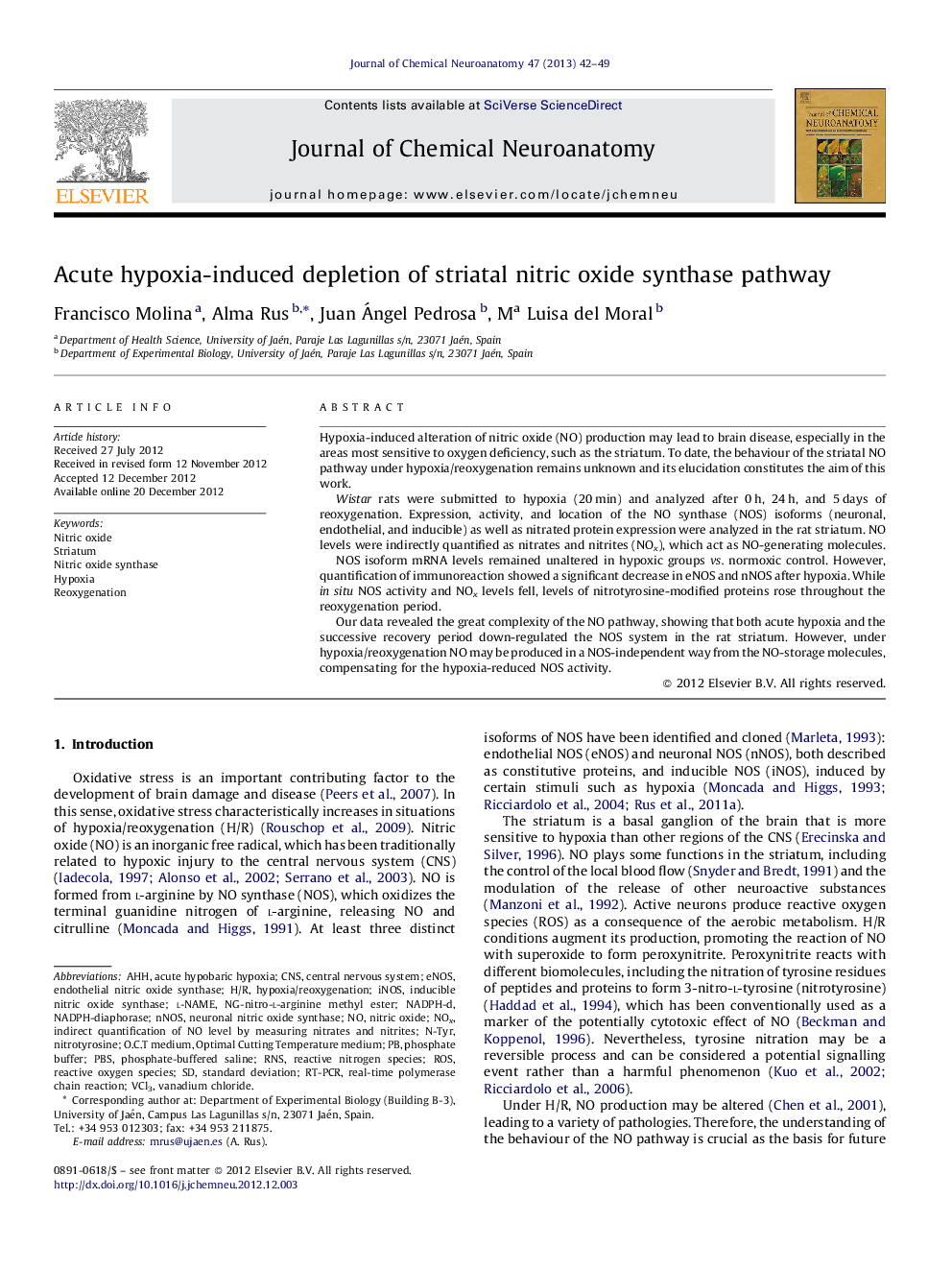 Acute hypoxia-induced depletion of striatal nitric oxide synthase pathway