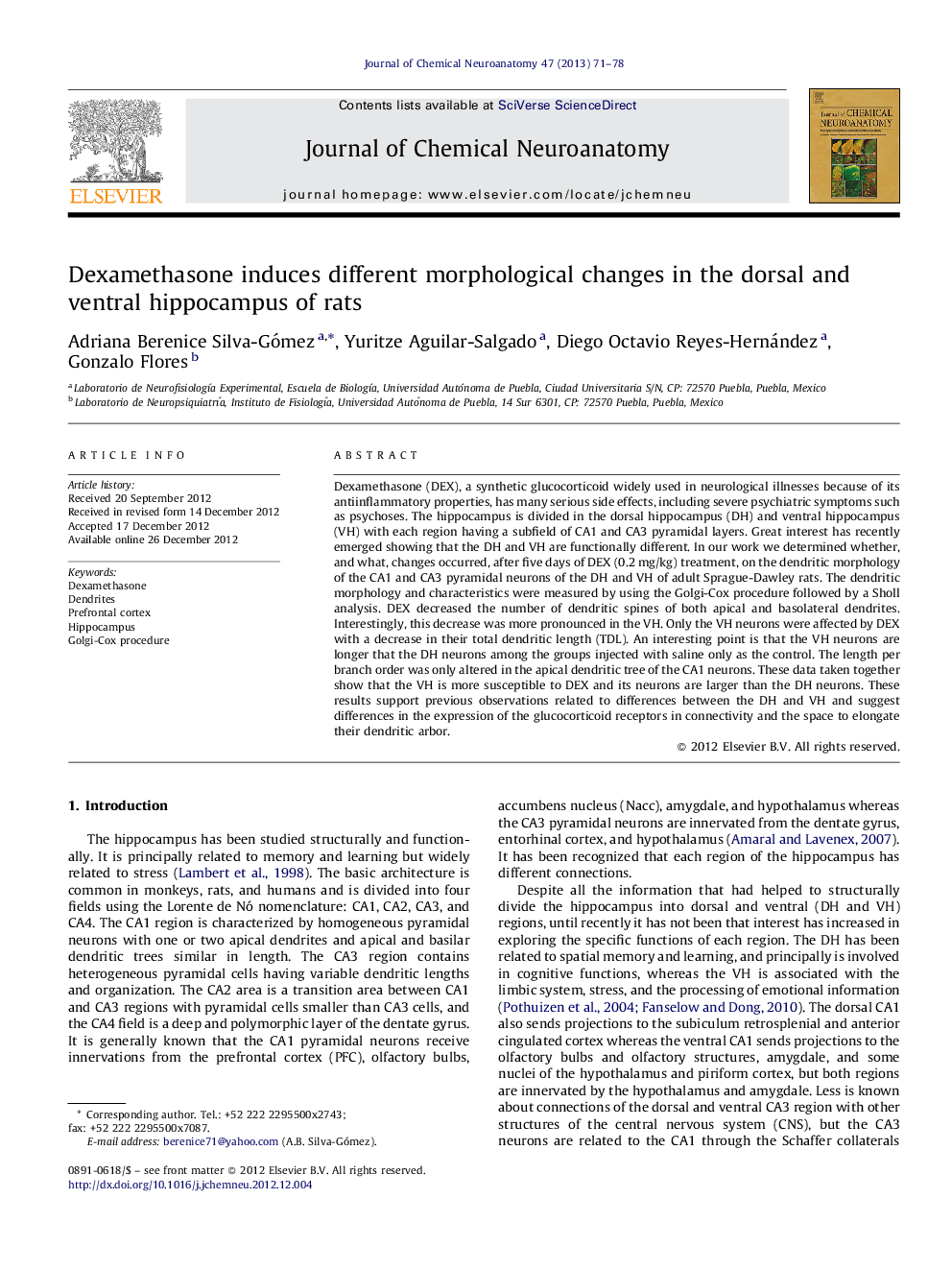 Dexamethasone induces different morphological changes in the dorsal and ventral hippocampus of rats