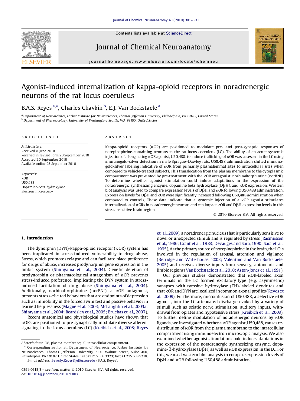 Agonist-induced internalization of kappa-opioid receptors in noradrenergic neurons of the rat locus coeruleus