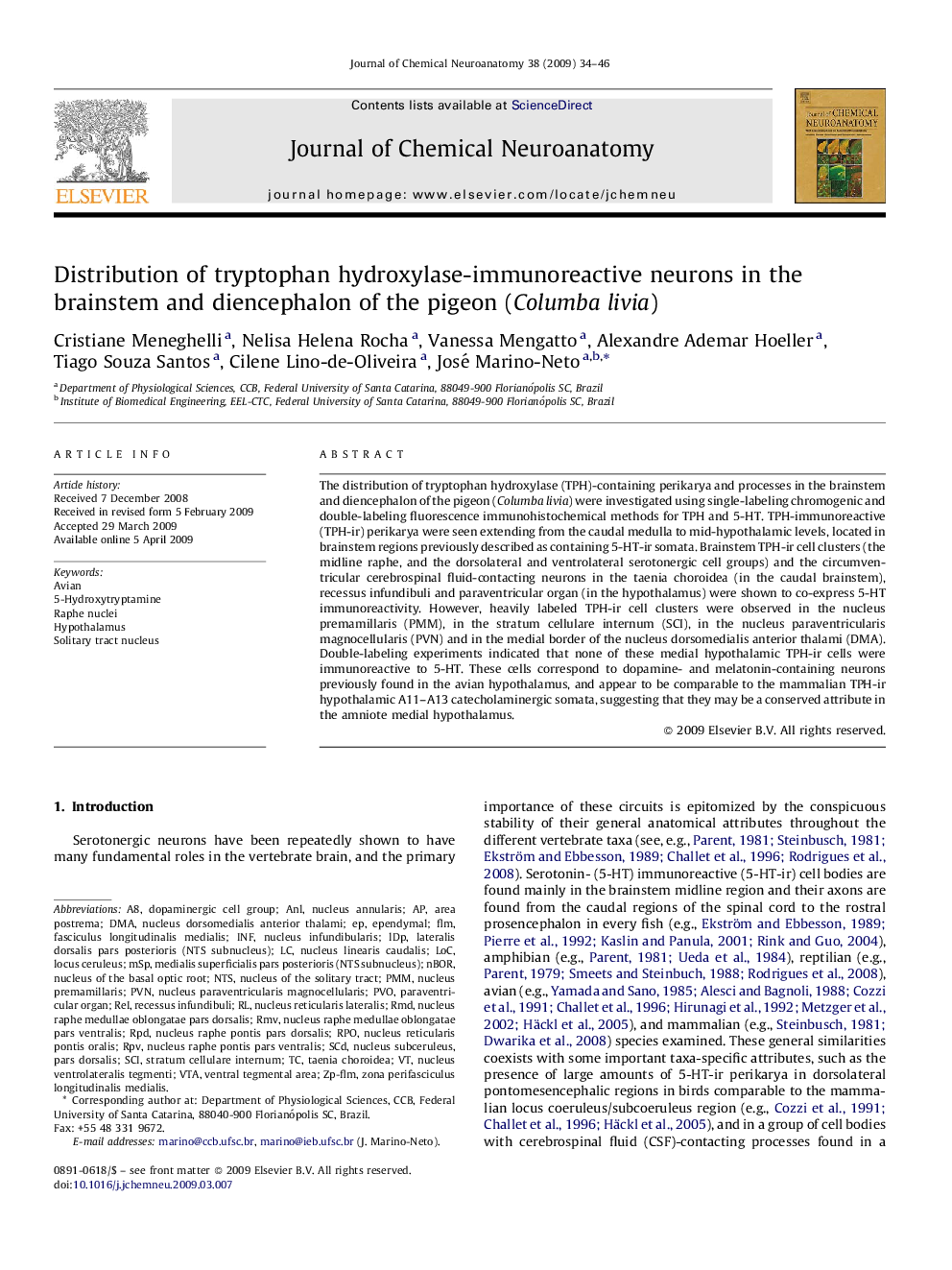 Distribution of tryptophan hydroxylase-immunoreactive neurons in the brainstem and diencephalon of the pigeon (Columba livia)