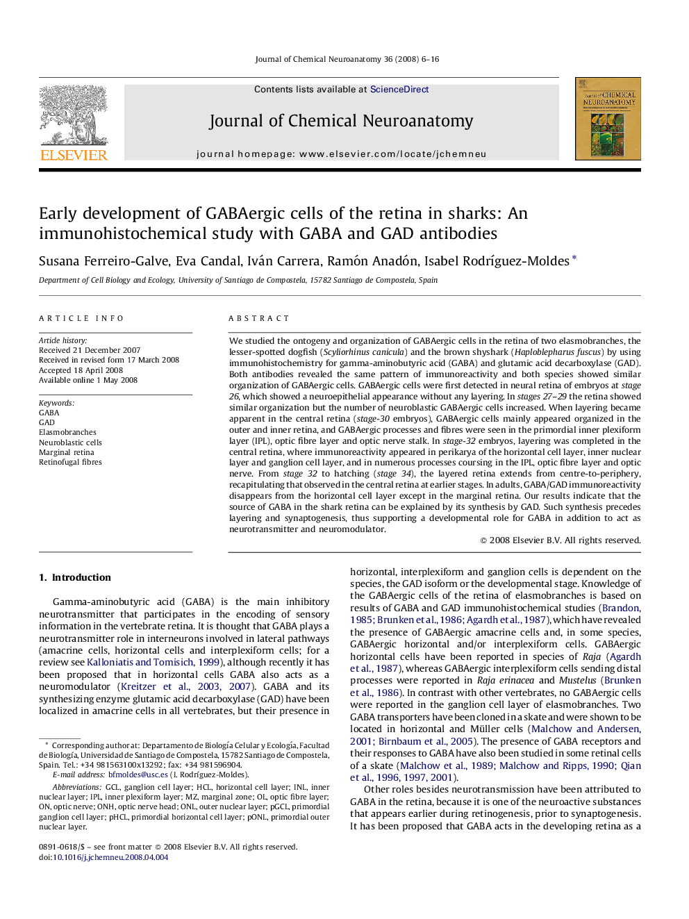 Early development of GABAergic cells of the retina in sharks: An immunohistochemical study with GABA and GAD antibodies