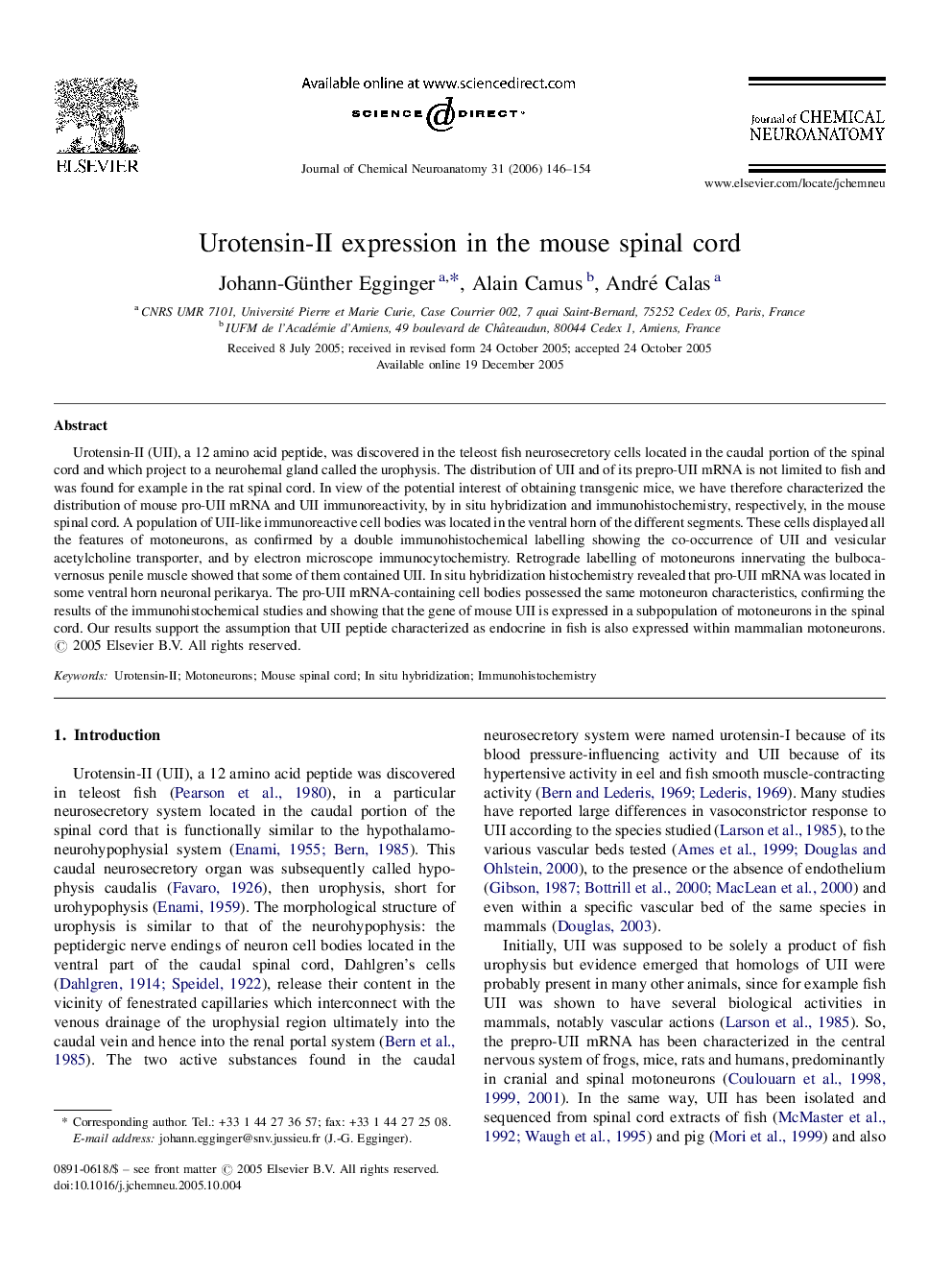 Urotensin-II expression in the mouse spinal cord