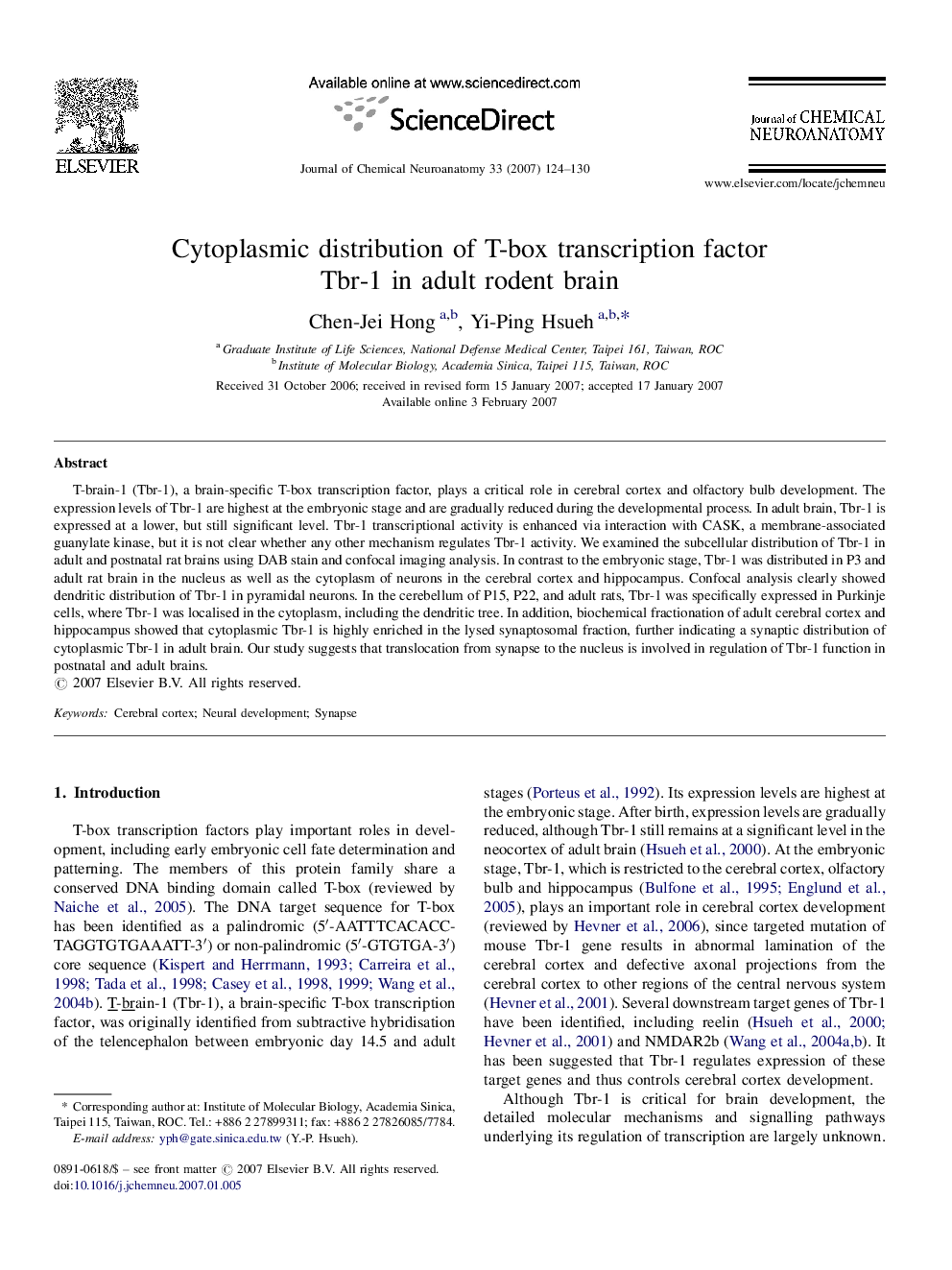 Cytoplasmic distribution of T-box transcription factor Tbr-1 in adult rodent brain