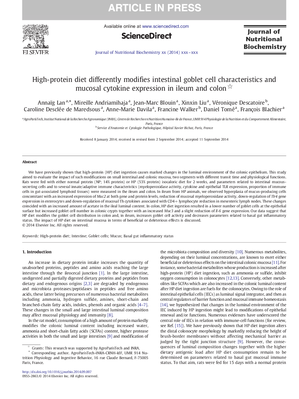 High-protein diet differently modifies intestinal goblet cell characteristics and mucosal cytokine expression in ileum and colon