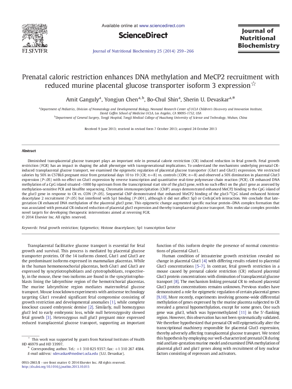 Prenatal caloric restriction enhances DNA methylation and MeCP2 recruitment with reduced murine placental glucose transporter isoform 3 expression 