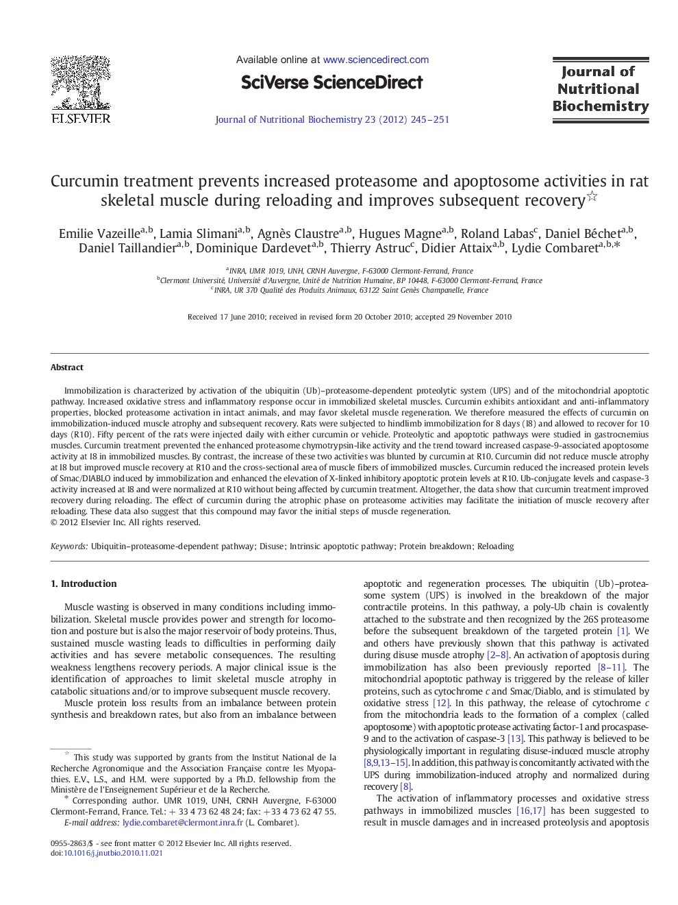 Curcumin treatment prevents increased proteasome and apoptosome activities in rat skeletal muscle during reloading and improves subsequent recovery 