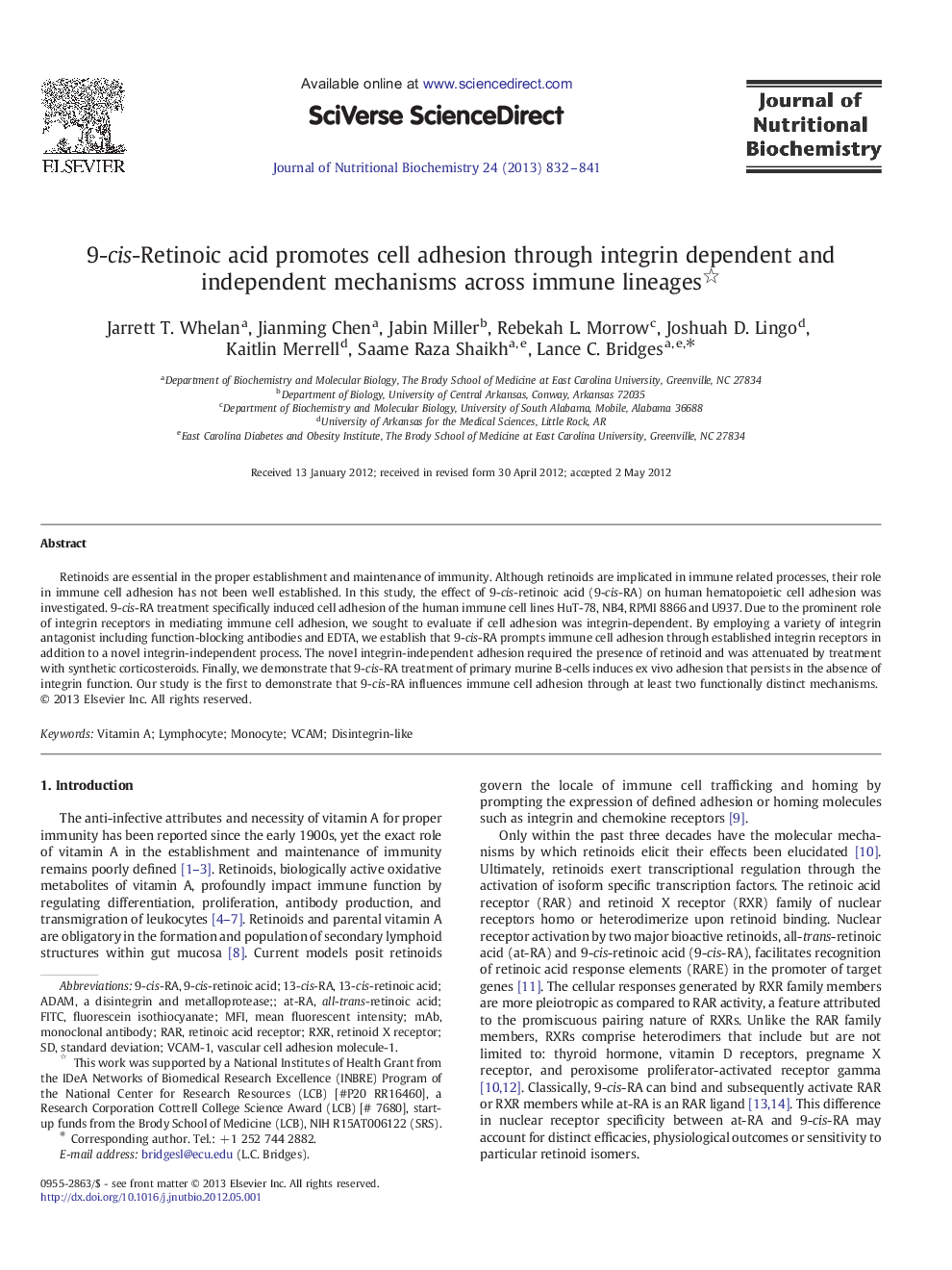 9-cis-Retinoic acid promotes cell adhesion through integrin dependent and independent mechanisms across immune lineages 