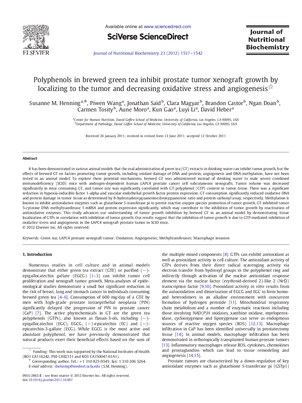 Polyphenols in brewed green tea inhibit prostate tumor xenograft growth by localizing to the tumor and decreasing oxidative stress and angiogenesis 