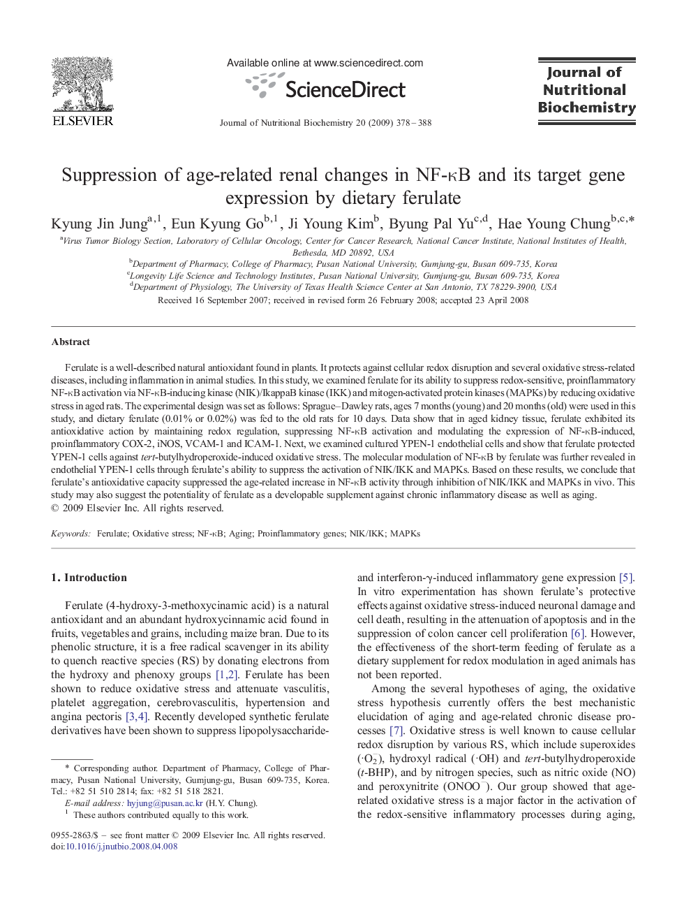 Suppression of age-related renal changes in NF-κB and its target gene expression by dietary ferulate