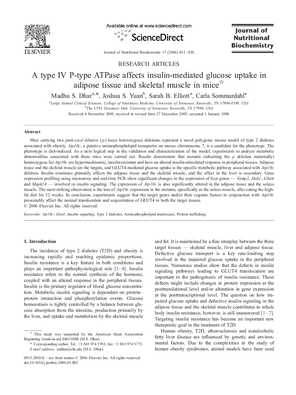 A type IV P-type ATPase affects insulin-mediated glucose uptake in adipose tissue and skeletal muscle in mice 