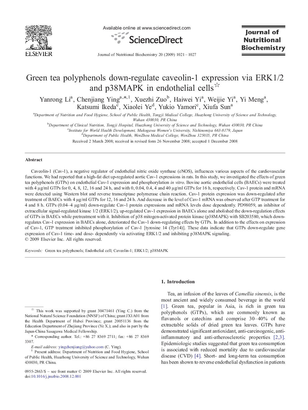 Green tea polyphenols down-regulate caveolin-1 expression via ERK1/2 and p38MAPK in endothelial cells 