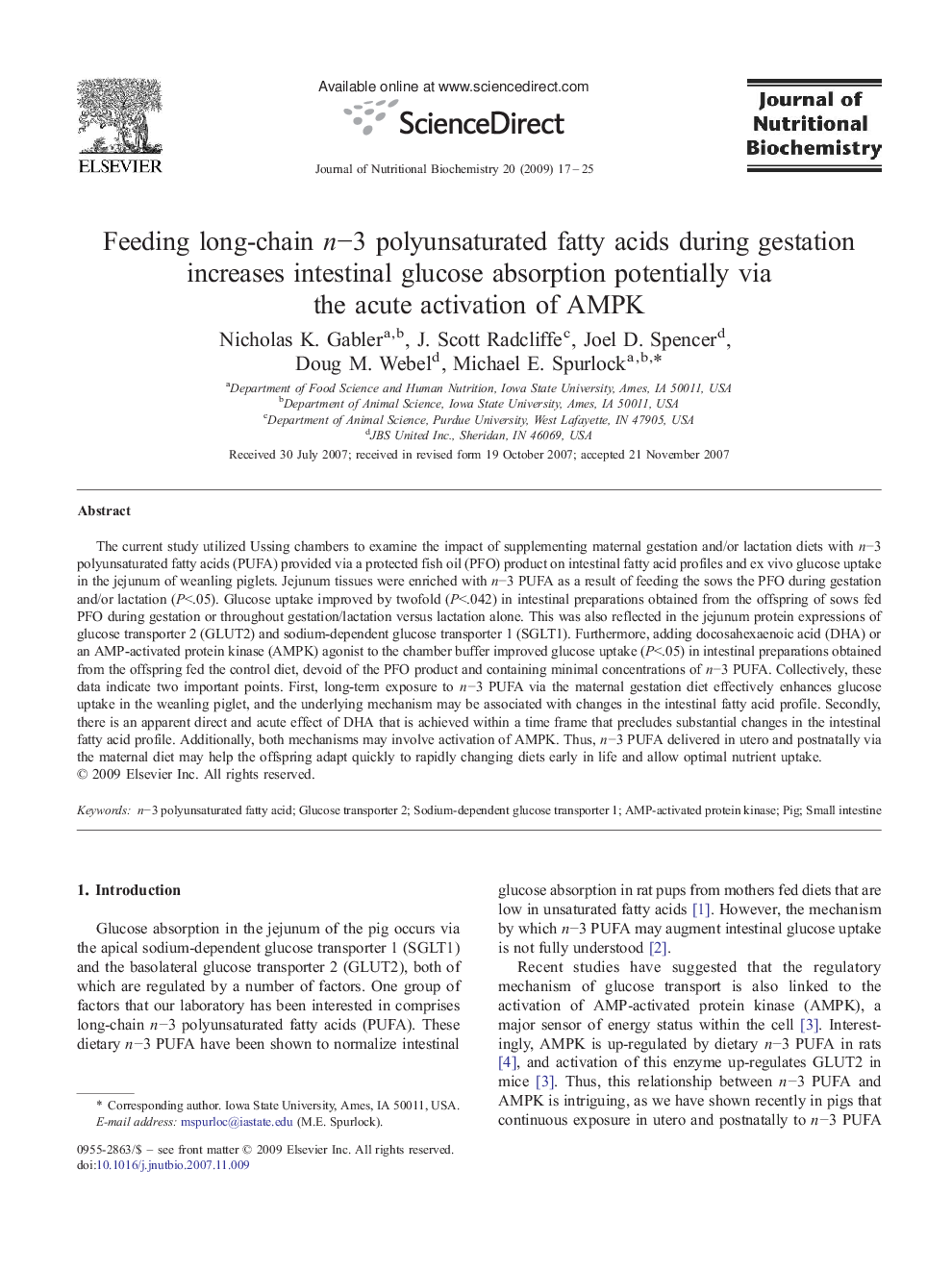 Feeding long-chain n−3 polyunsaturated fatty acids during gestation increases intestinal glucose absorption potentially via the acute activation of AMPK