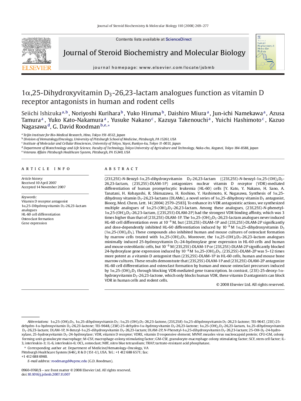 1α,25-Dihydroxyvitamin D3-26,23-lactam analogues function as vitamin D receptor antagonists in human and rodent cells
