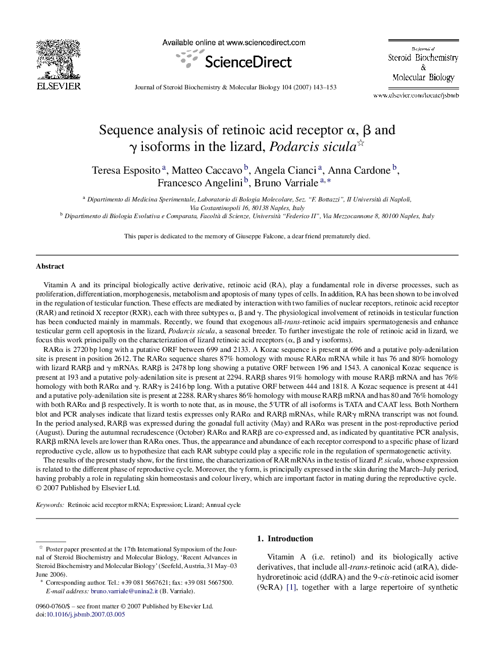 Sequence analysis of retinoic acid receptor α, β and γ isoforms in the lizard, Podarcis sicula 