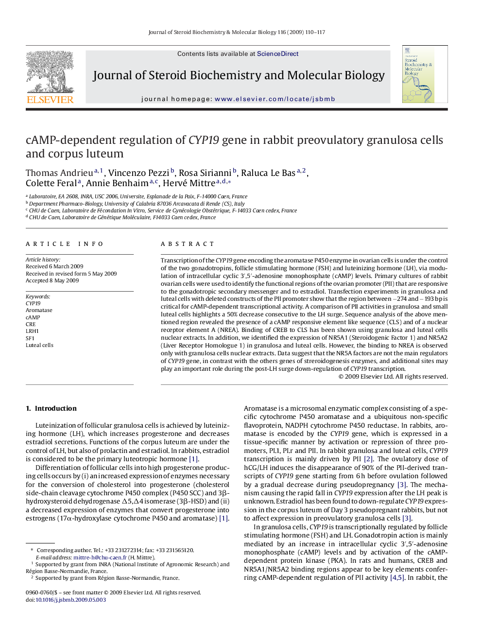 cAMP-dependent regulation of CYP19 gene in rabbit preovulatory granulosa cells and corpus luteum