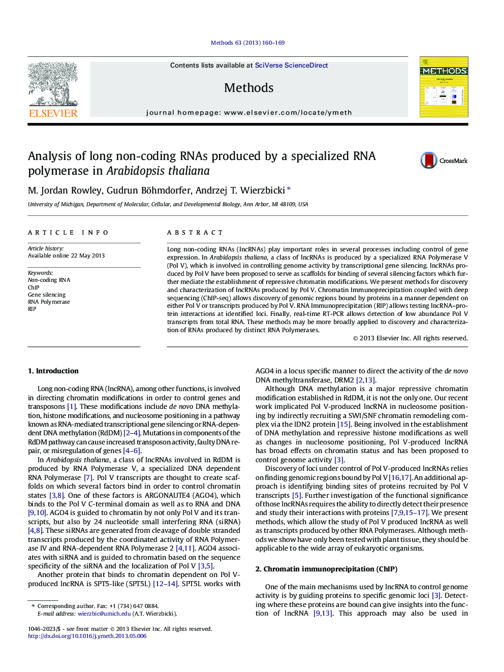 Analysis of long non-coding RNAs produced by a specialized RNA polymerase in Arabidopsis thaliana